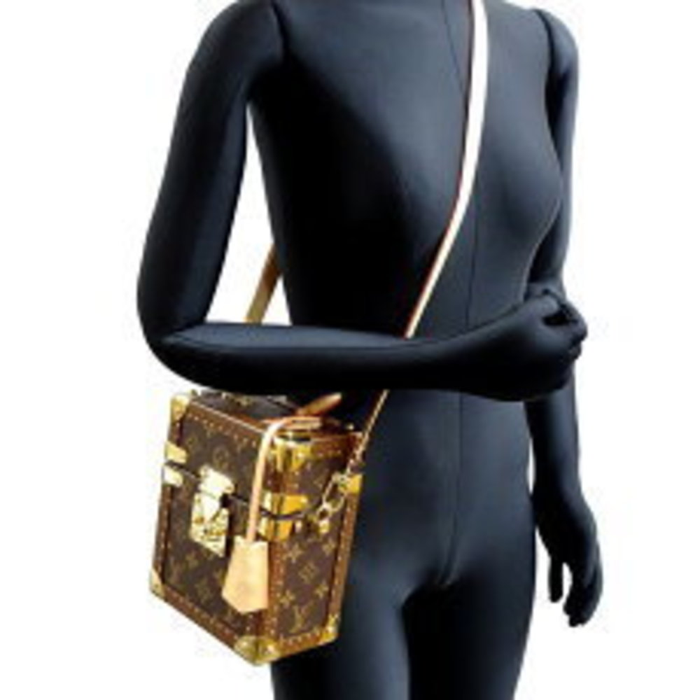 Louis Vuitton Brown Handbag Monogram Camera - Picture 9 of 9